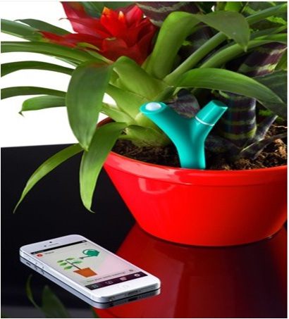f01357736466.jpg